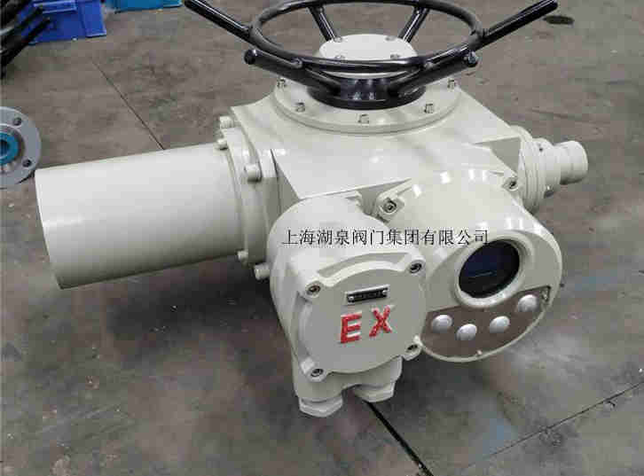 上海湖泉阀门电动装置DZB60